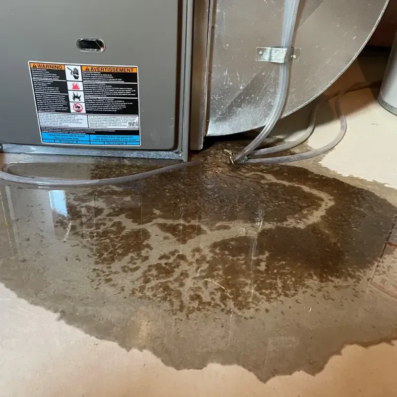 Appliance Leak Cleanup in Fort Thompson, SD